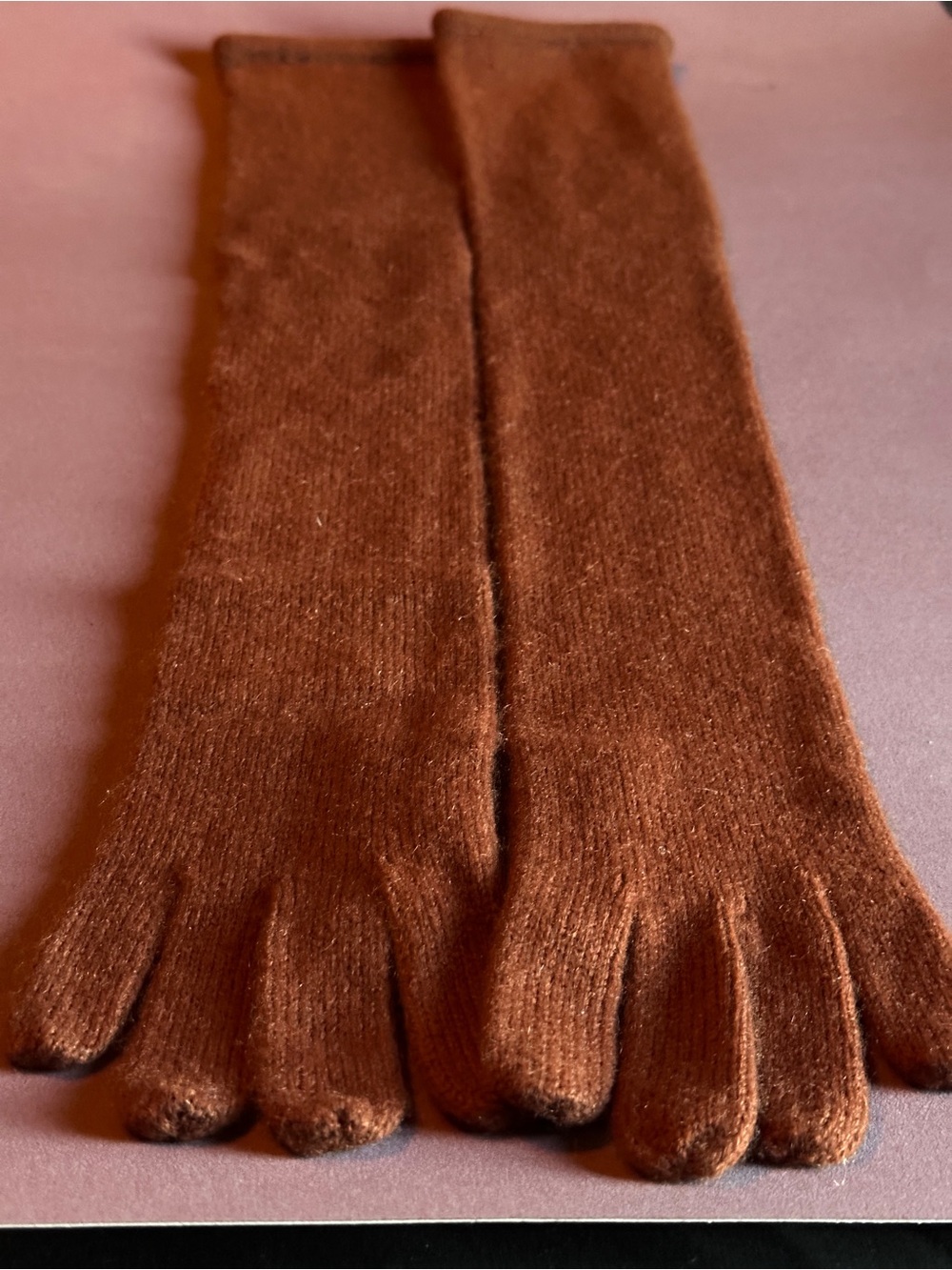 Portolano 100% Cashmere Long Gloves